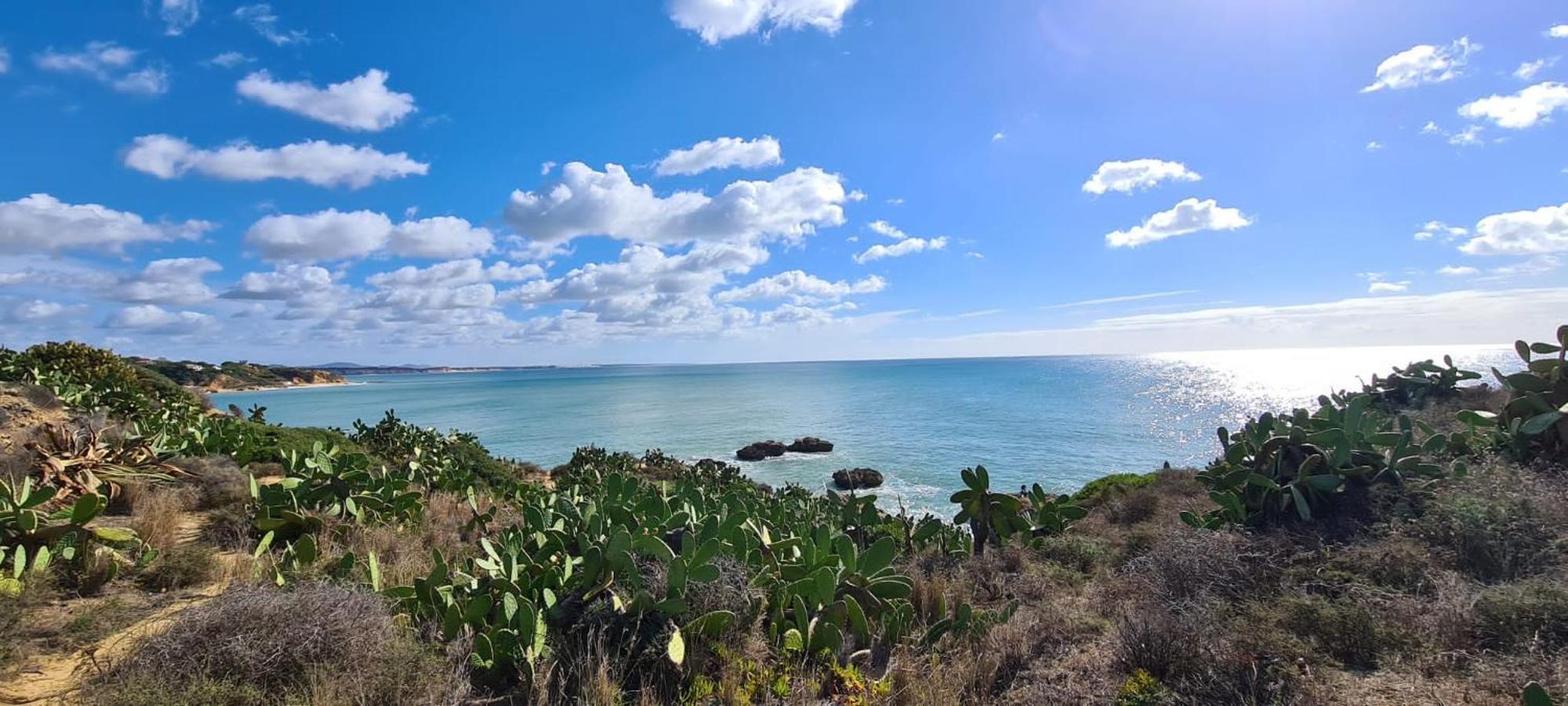 Beachfront Flat, Private Parking, Pools, Sea At Less Than 200 M (Adults Only) Appartement Albufeira Buitenkant foto